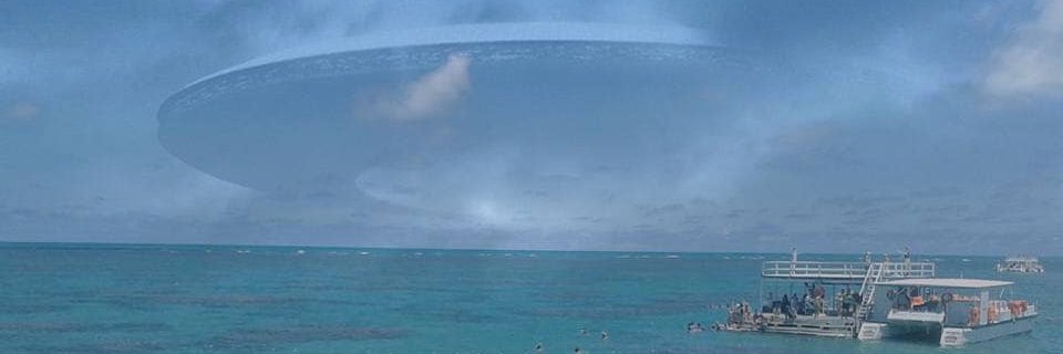 alliengrey's profile banner image