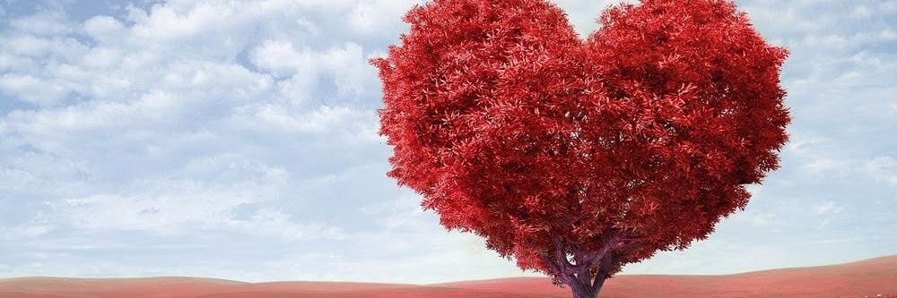 HalaazAz100's profile banner image