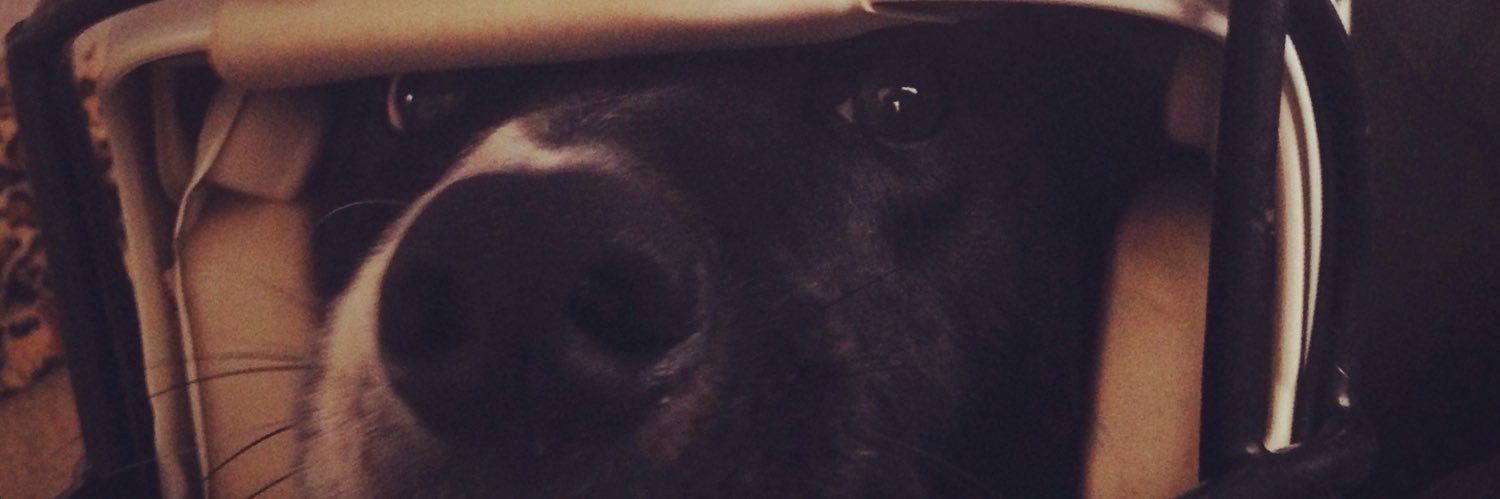melkfoster3's profile banner image