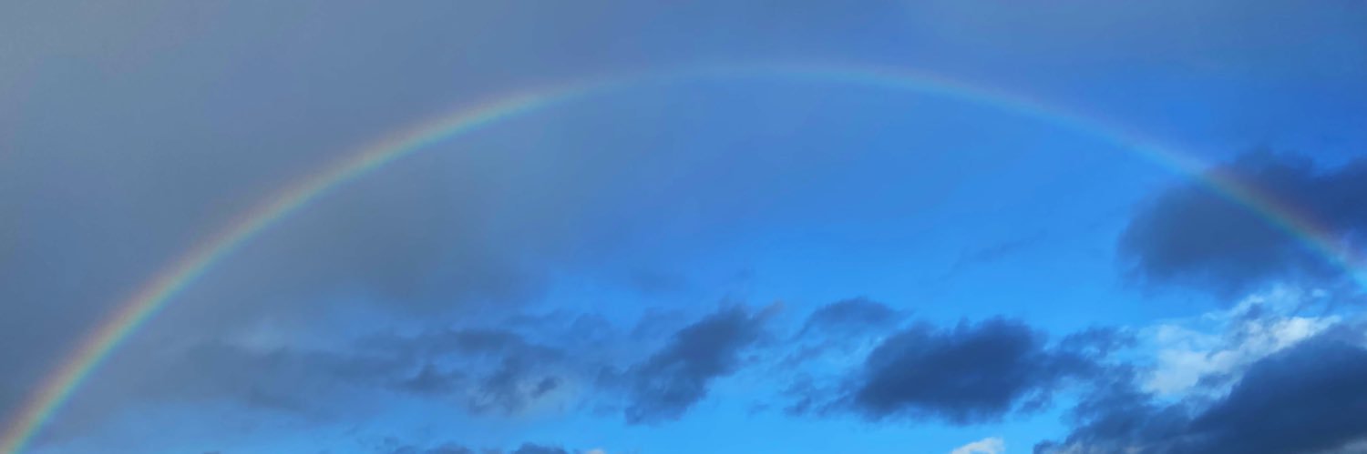 SilBerezi's profile banner image