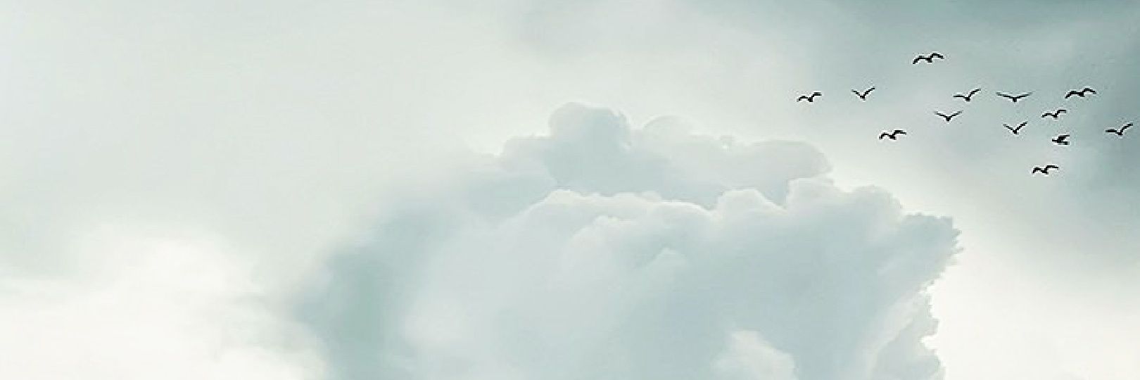 AntolinYa's profile banner image