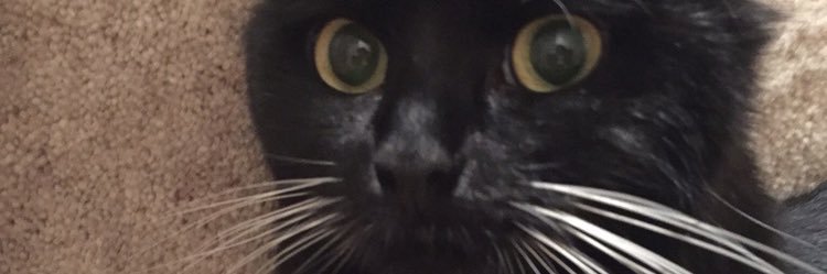 pipsyd2005's profile banner image