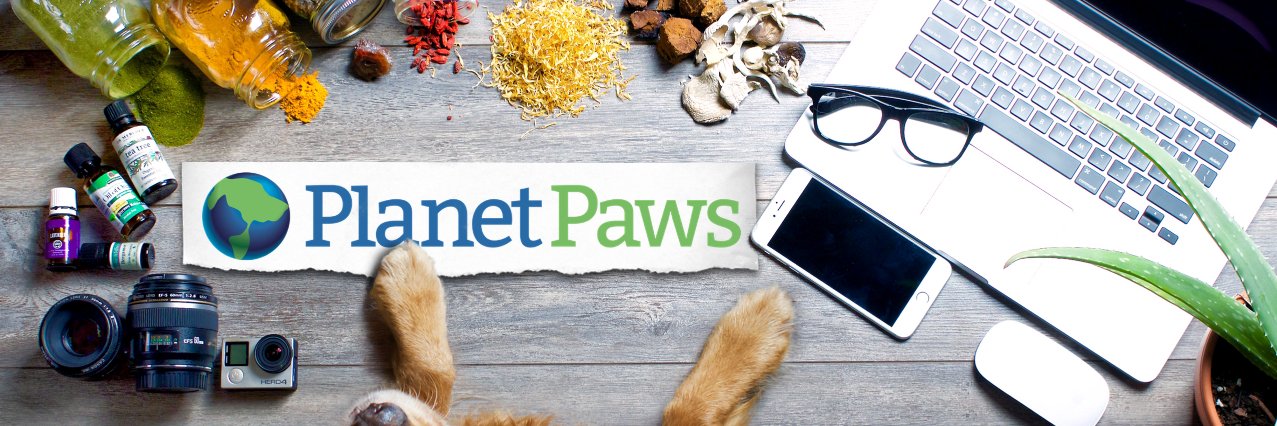 PlanetPawsNS's profile banner image