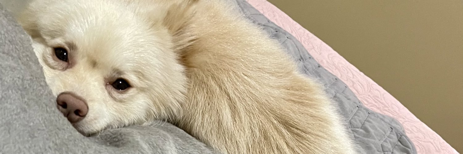 YanedcyReyna's profile banner image