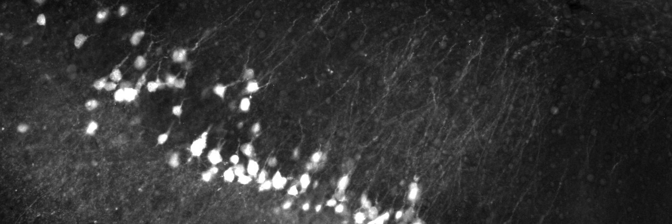 Matthias Klumpp | @matk@mastodon.social banner