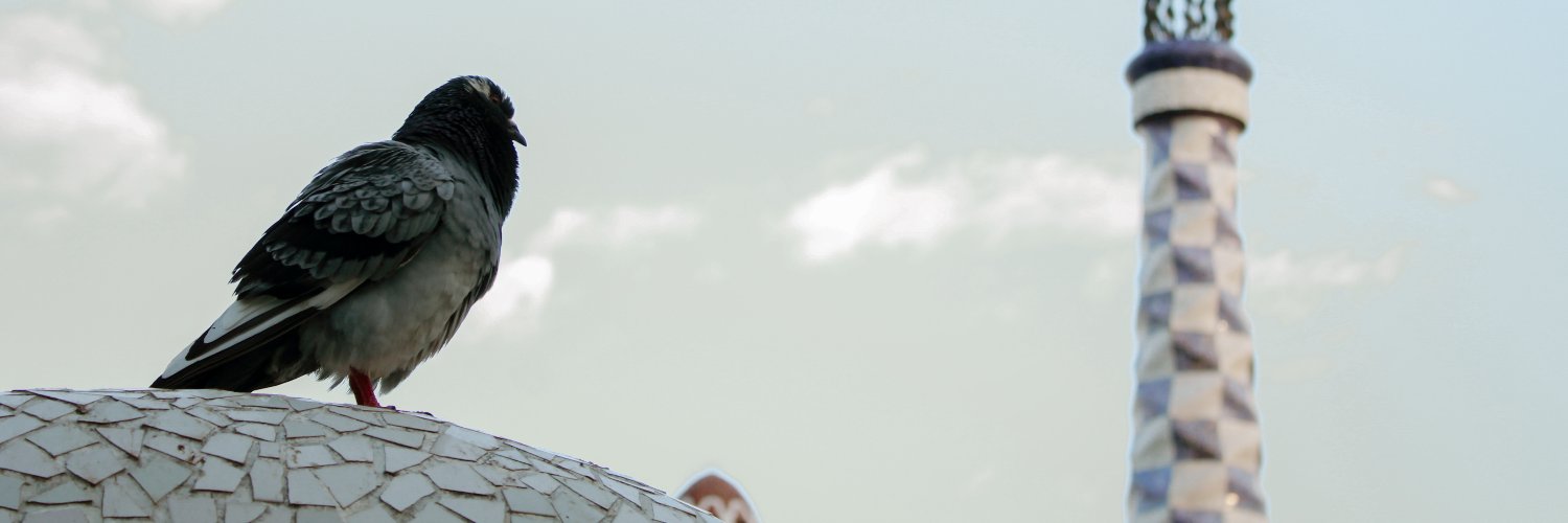 nRaMG14's profile banner image