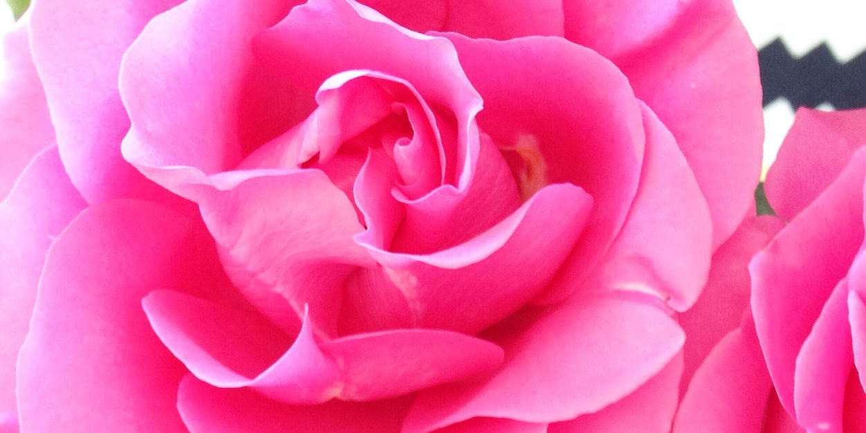 laradiva's profile banner image