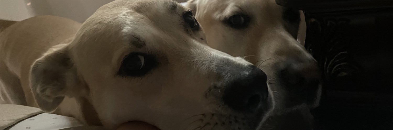 anaxm14's profile banner image