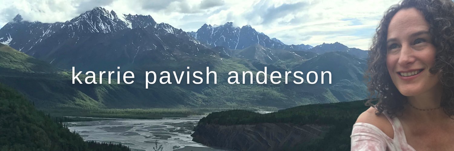 Karrie Pavish Anderson banner