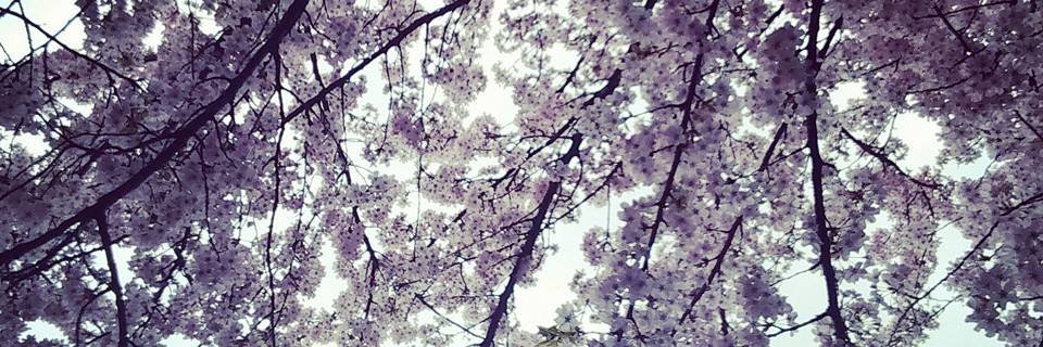 _G_Q_'s profile banner image