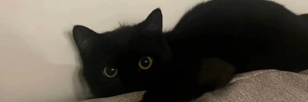 今晚早点睡 banner