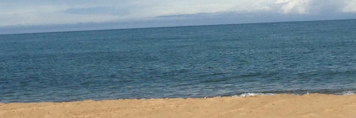 rainies87's profile banner image