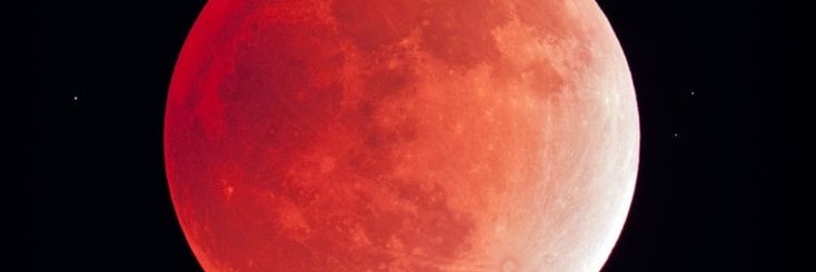 moonlightbaal's profile banner image
