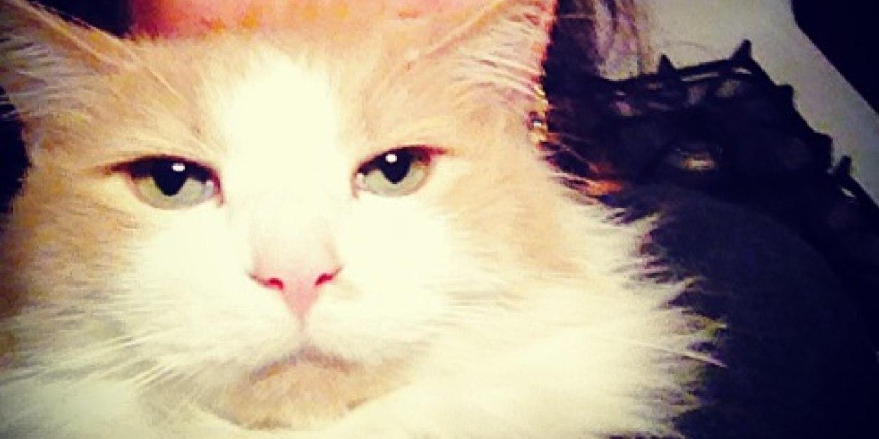 HilaryClare's profile banner image