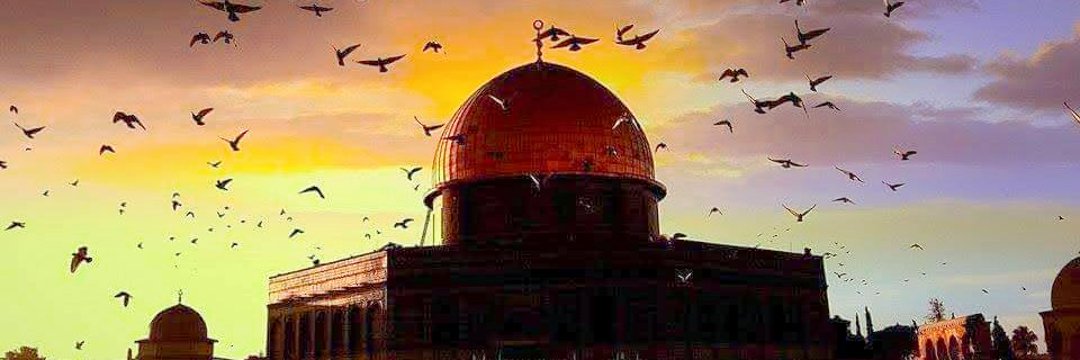 AssimHaliim's profile banner image