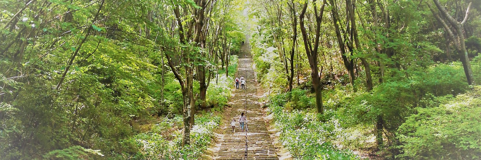 生野 公貴（Koki Ikuno） banner
