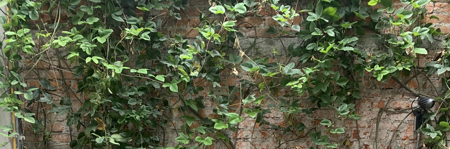 Hugo Diaz Barreiro banner