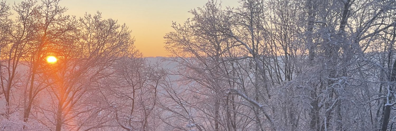 EviDance 💃🕺 banner