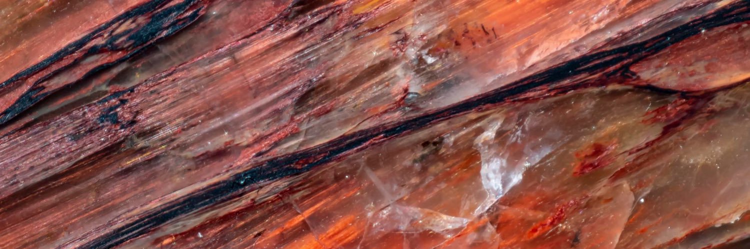 klarkus banner