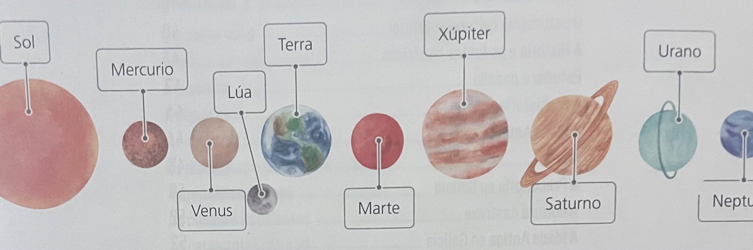 Berta Dávila 🐋 banner