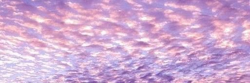 AxelZozi's profile banner image