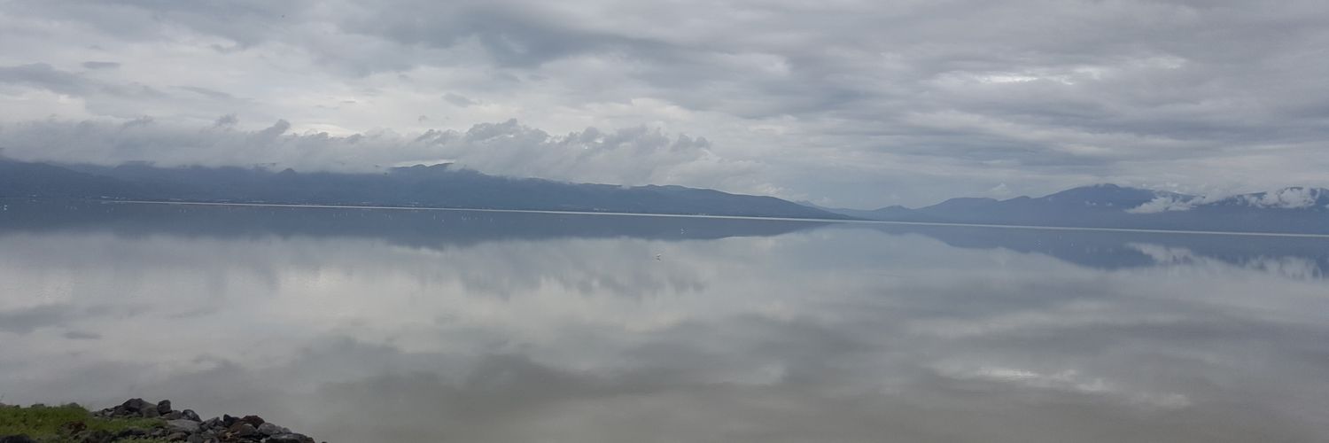 oliver_torras's profile banner image