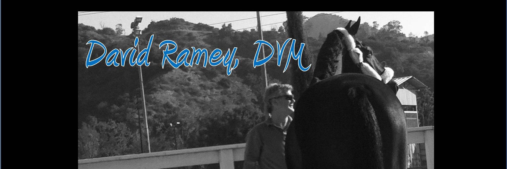 David Ramey DVM (@DRRameyDVM) / Posts / X