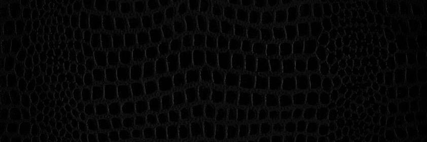 houseofpedra's profile banner image