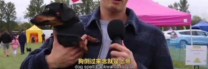 小狗信號🗳8/23同意罷免's banner