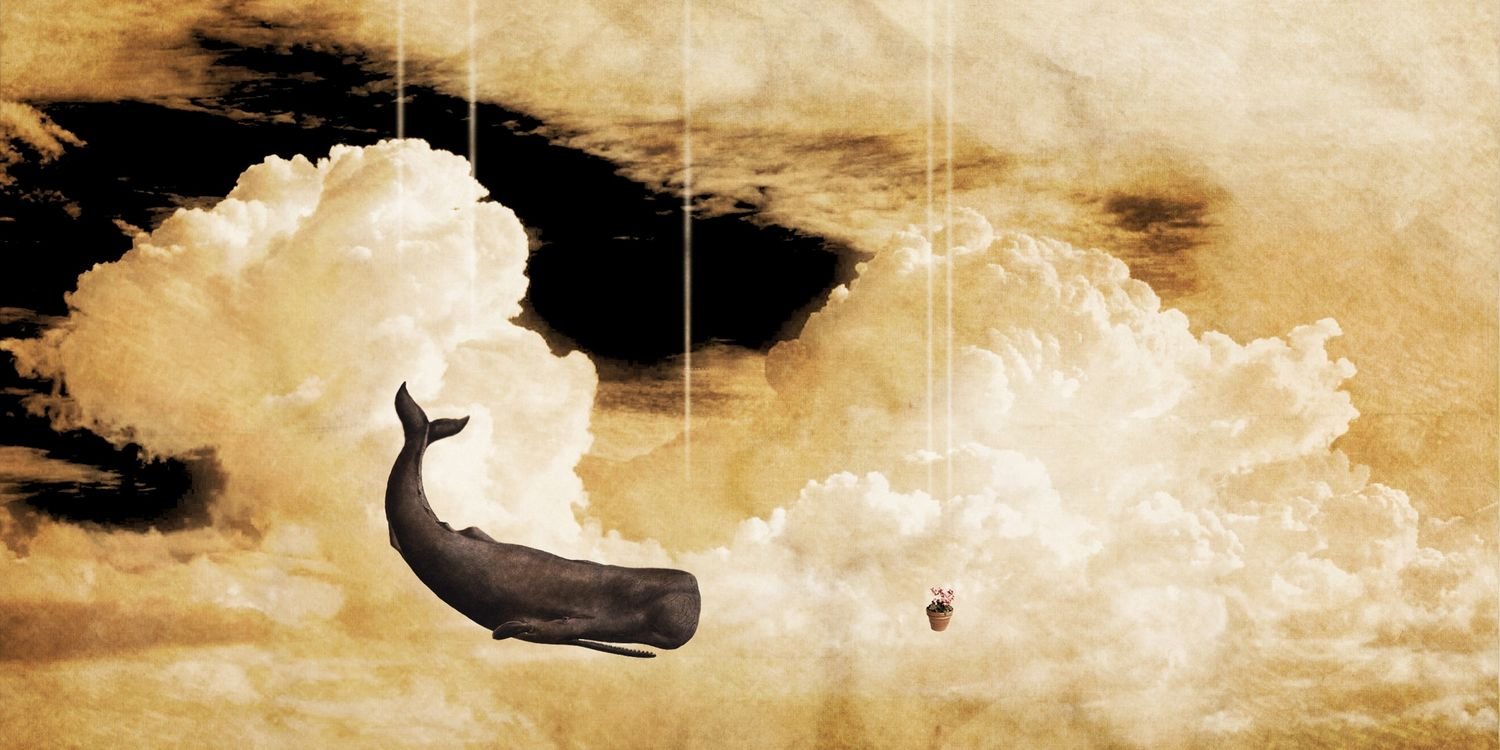 zach_AG's profile banner image