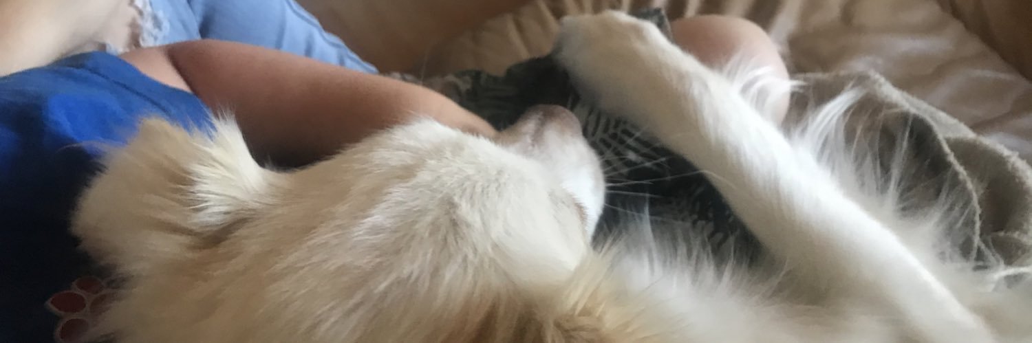 WobbeHeather's profile banner image