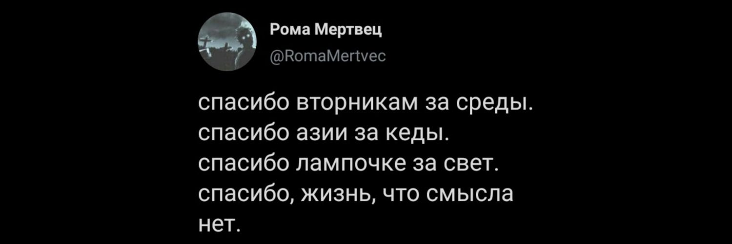 машенька снегирь banner