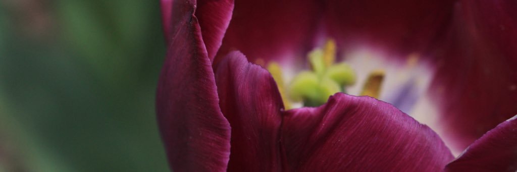 NisreenSalka's profile banner image