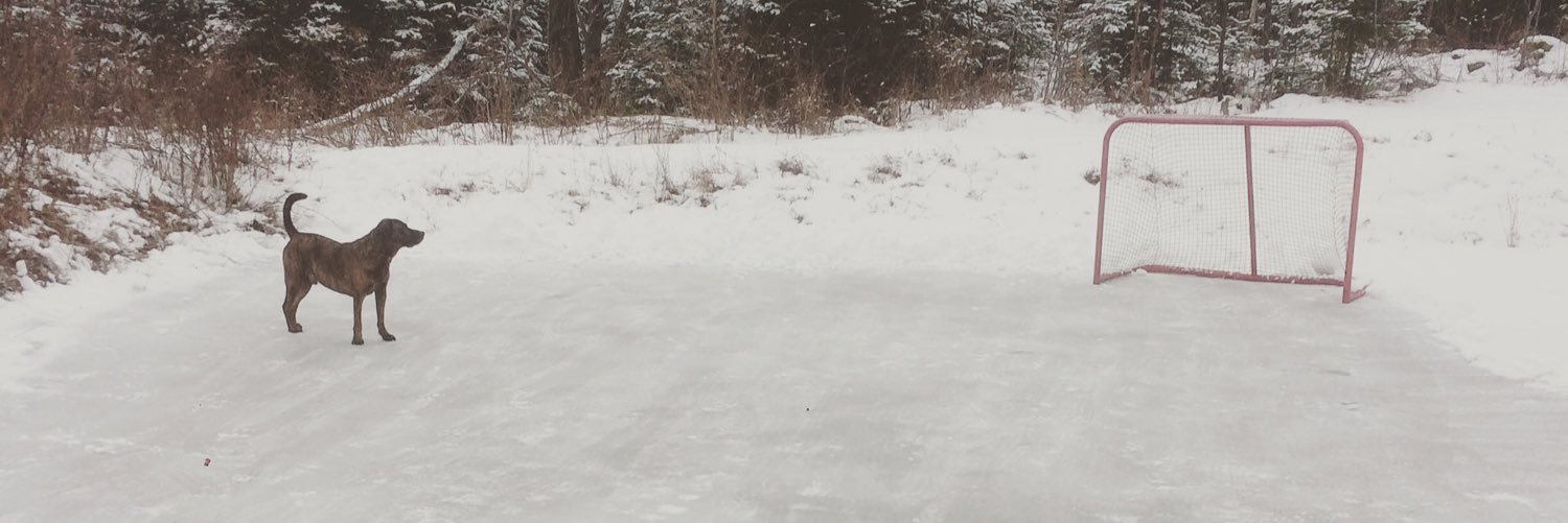 CrowellRiley's profile banner image