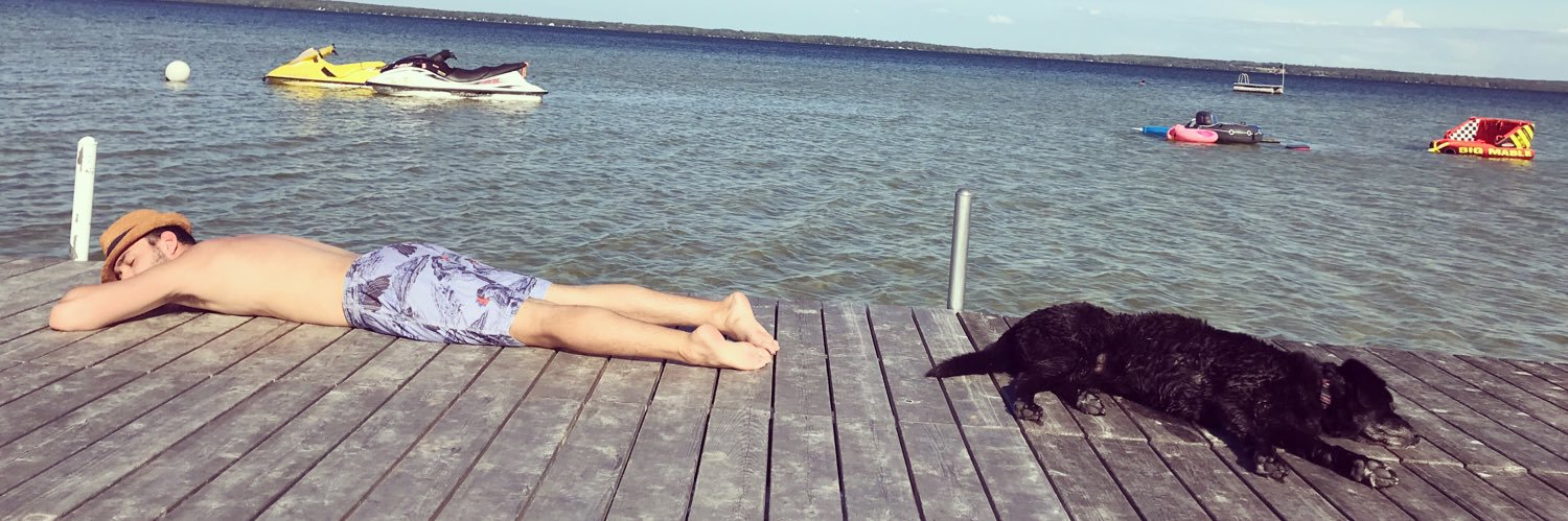 Dennis Vinogradov banner