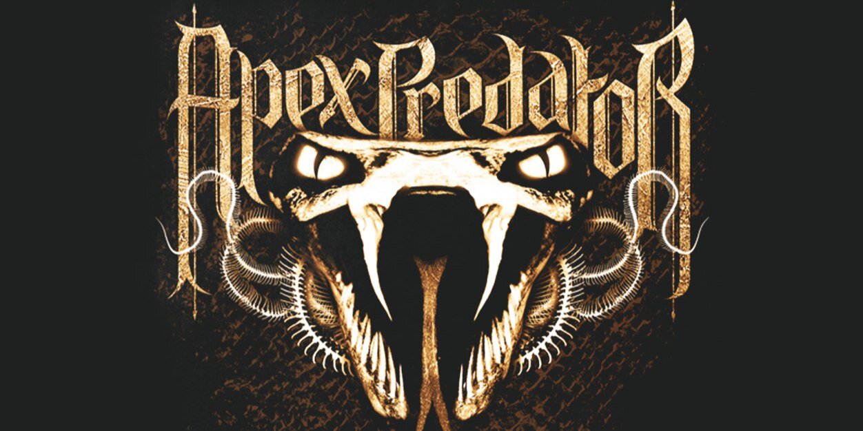 ApexAngels's profile banner image
