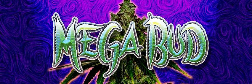 officialmegabud's profile banner image