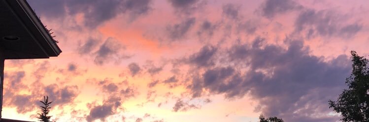 deidre banner