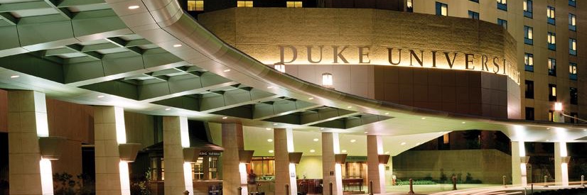 Cesar de Cesar Netto banner