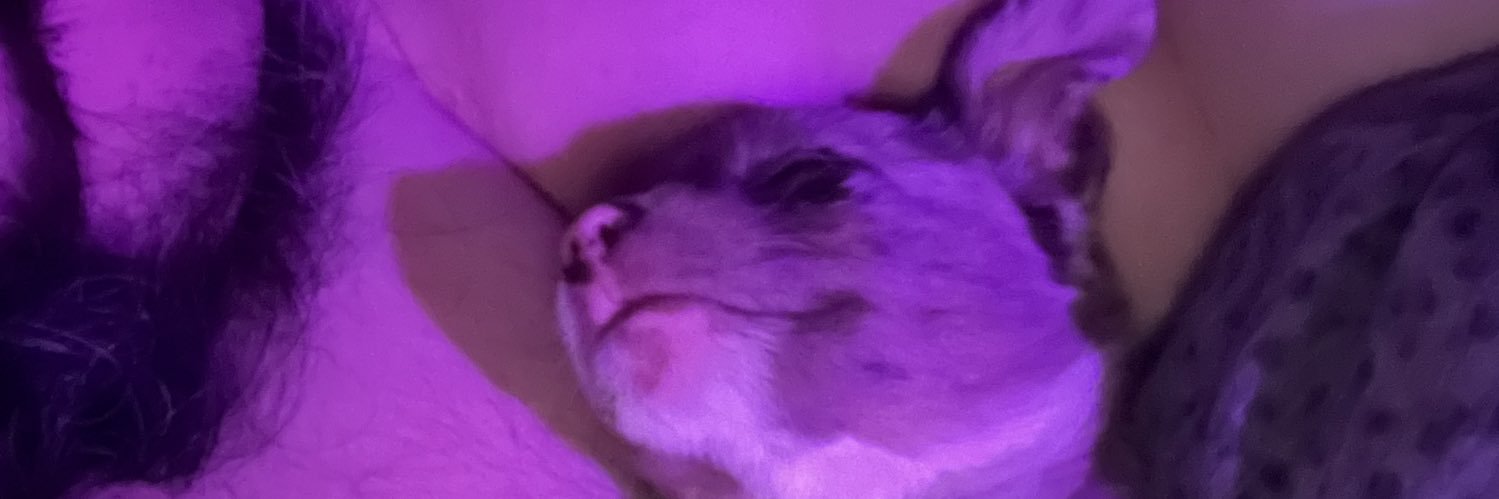Jimmydipp's profile banner image