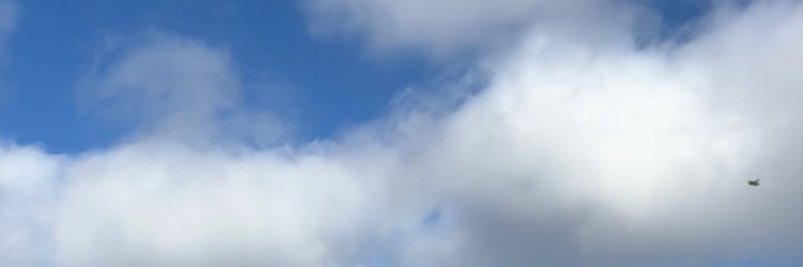 agathe_vidal's profile banner image
