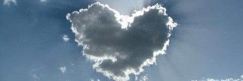 viviana governi banner