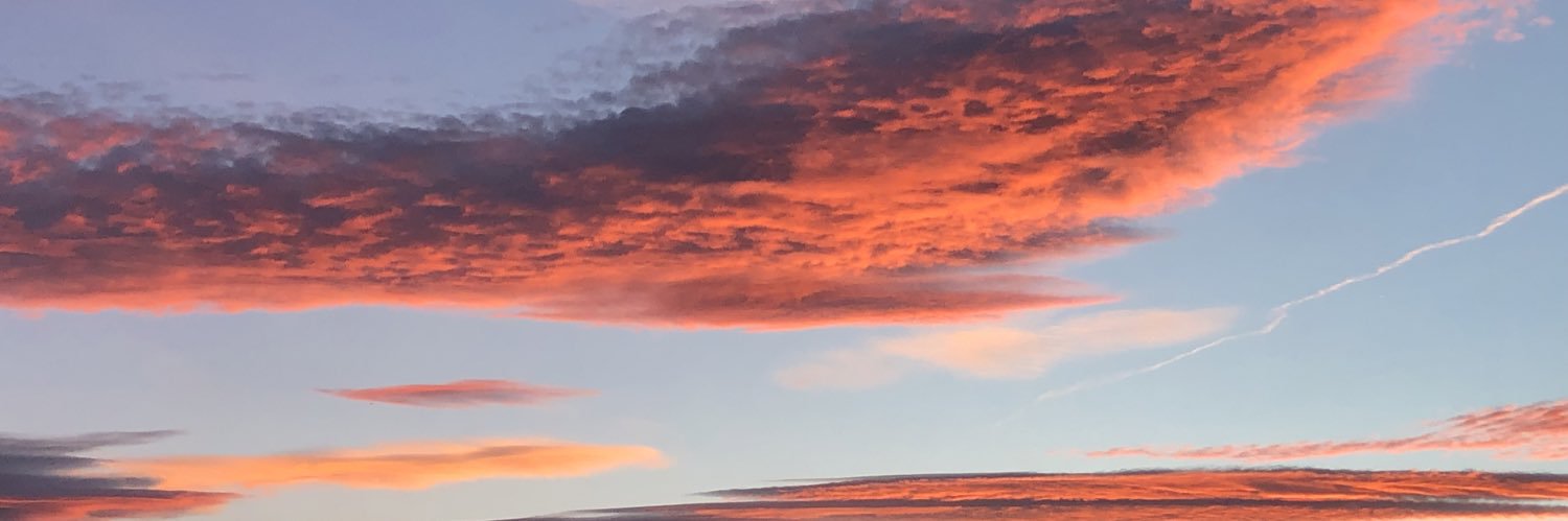 ve_nu_no's profile banner image