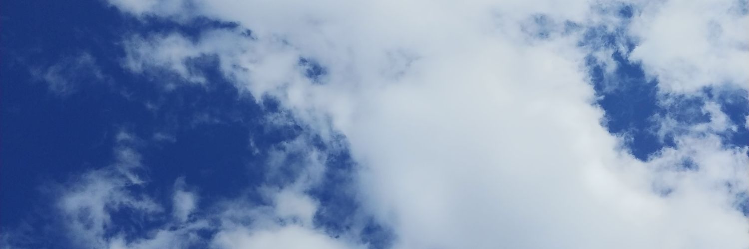 Fabio Stefanini banner