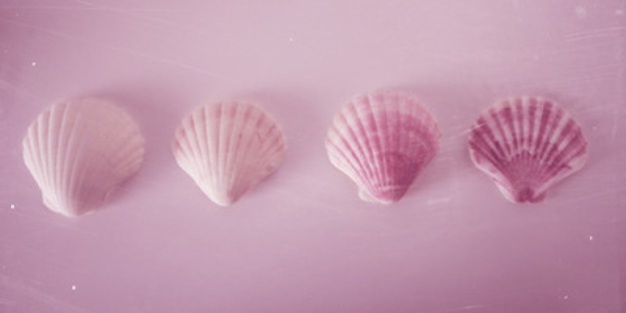 __Rima's profile banner image