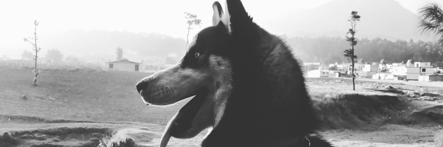 Sindyivas45's profile banner image