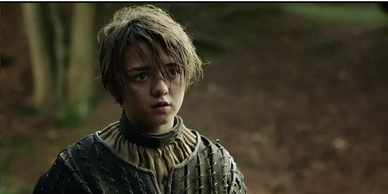Arya stark banner