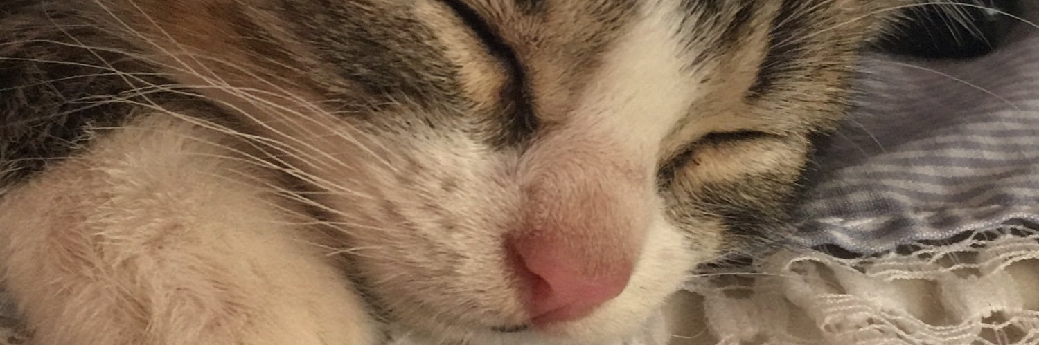 KikePeruzzi's profile banner image