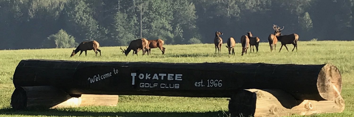 TokateeGolfClub's profile banner image