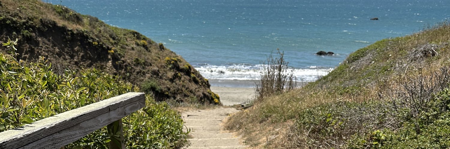 Greg Mihailides banner